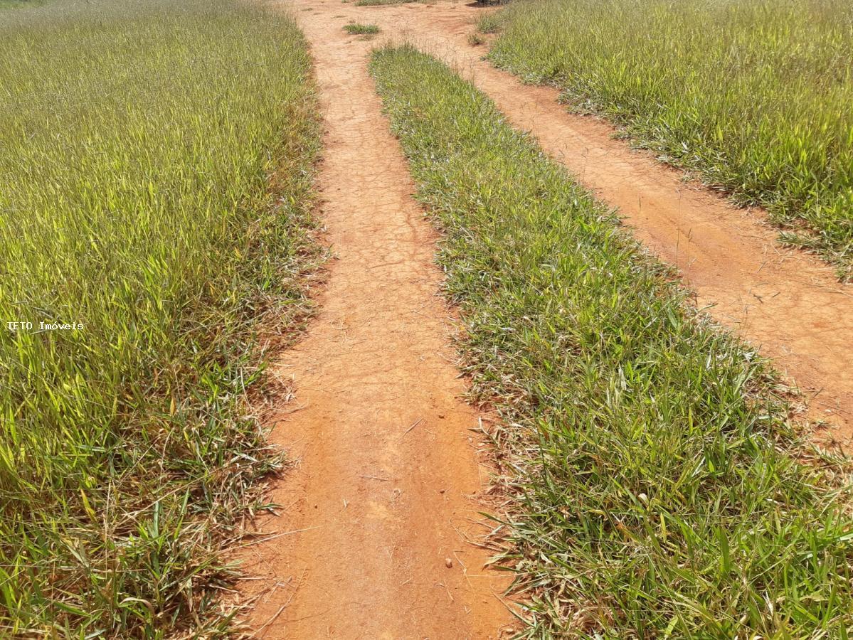 Terreno à venda, 1000m² - Foto 4