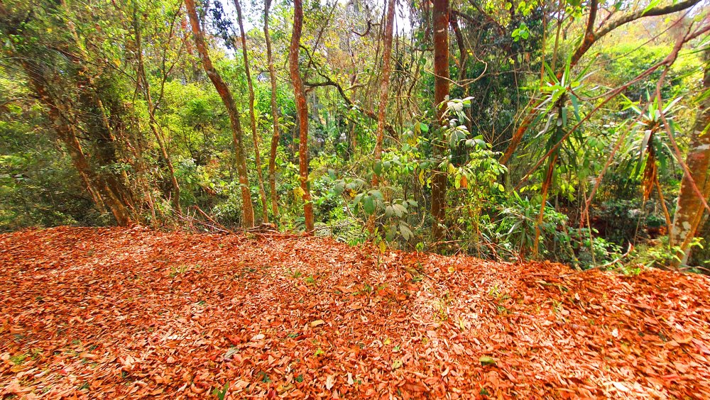 Terreno à venda, 784m² - Foto 30