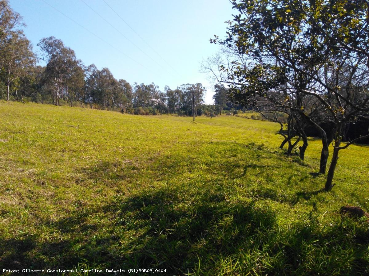 Fazenda à venda com 3 quartos, 24172m² - Foto 23