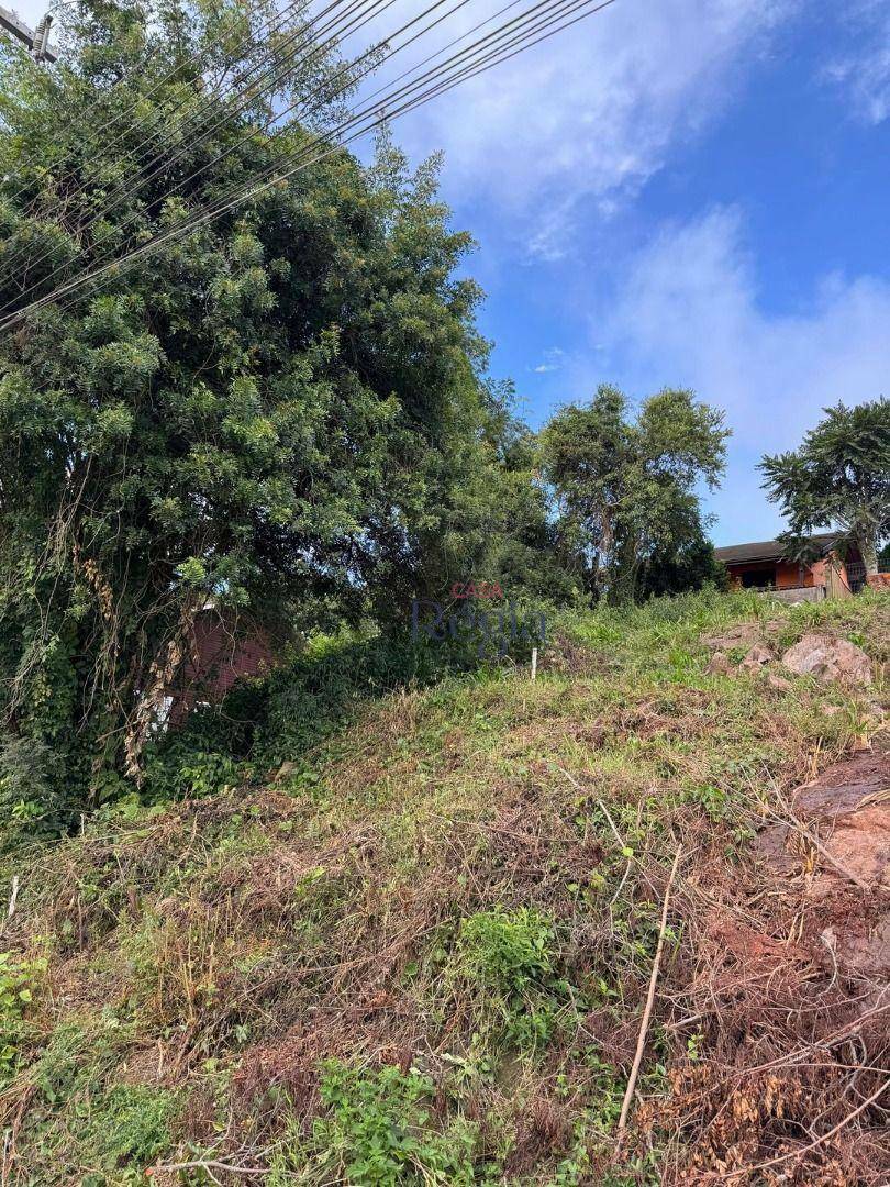 Terreno à venda, 300M2 - Foto 6