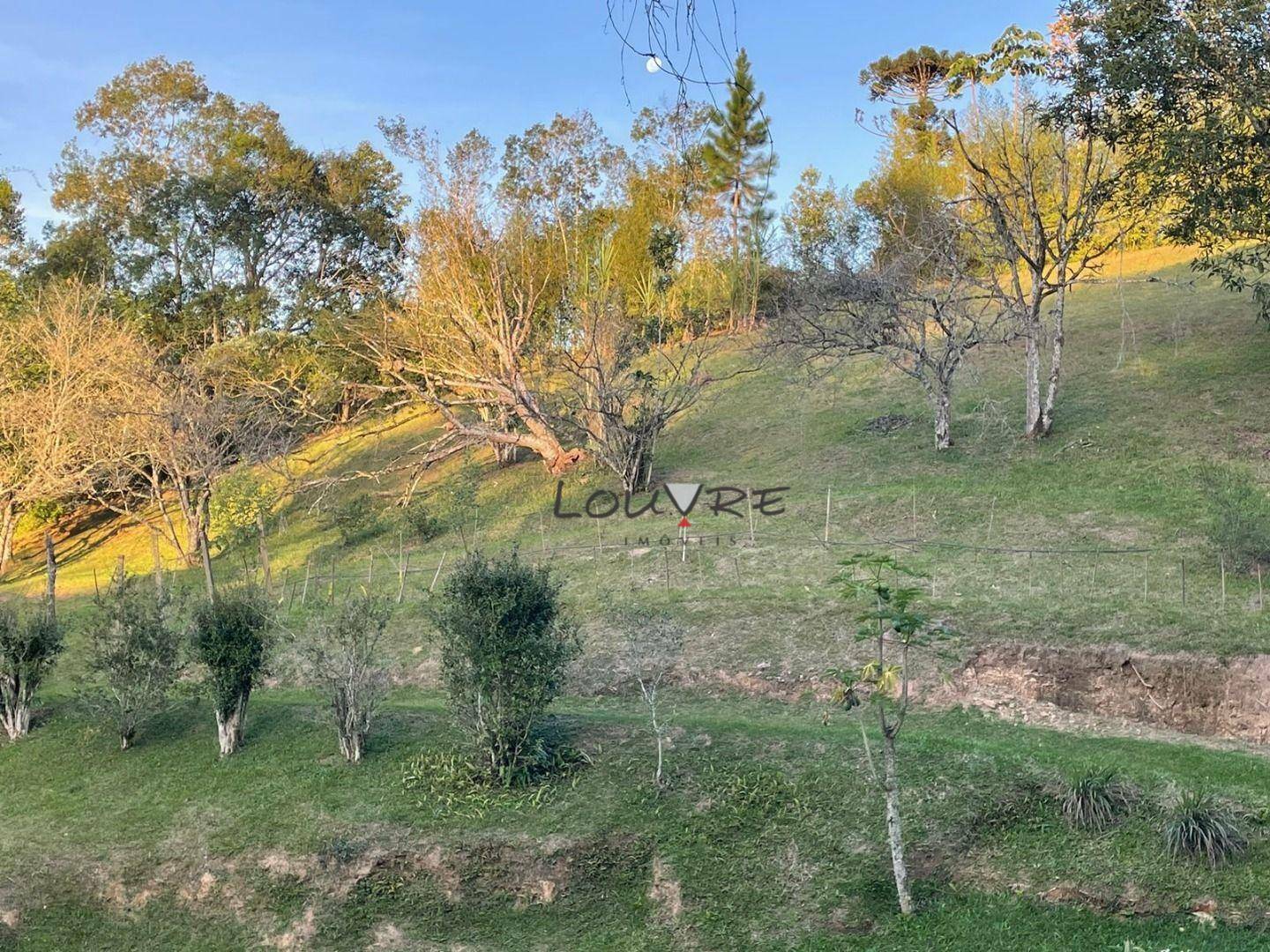 Sítio à venda com 3 quartos, 14000M2 - Foto 9