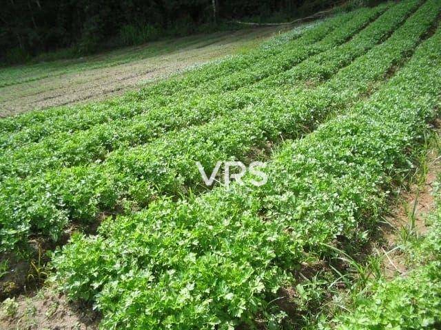 Fazenda à venda com 1 quarto, 476155M2 - Foto 8