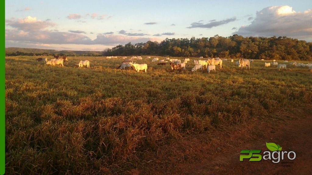 Fazenda à venda, 190000000M2 - Foto 13