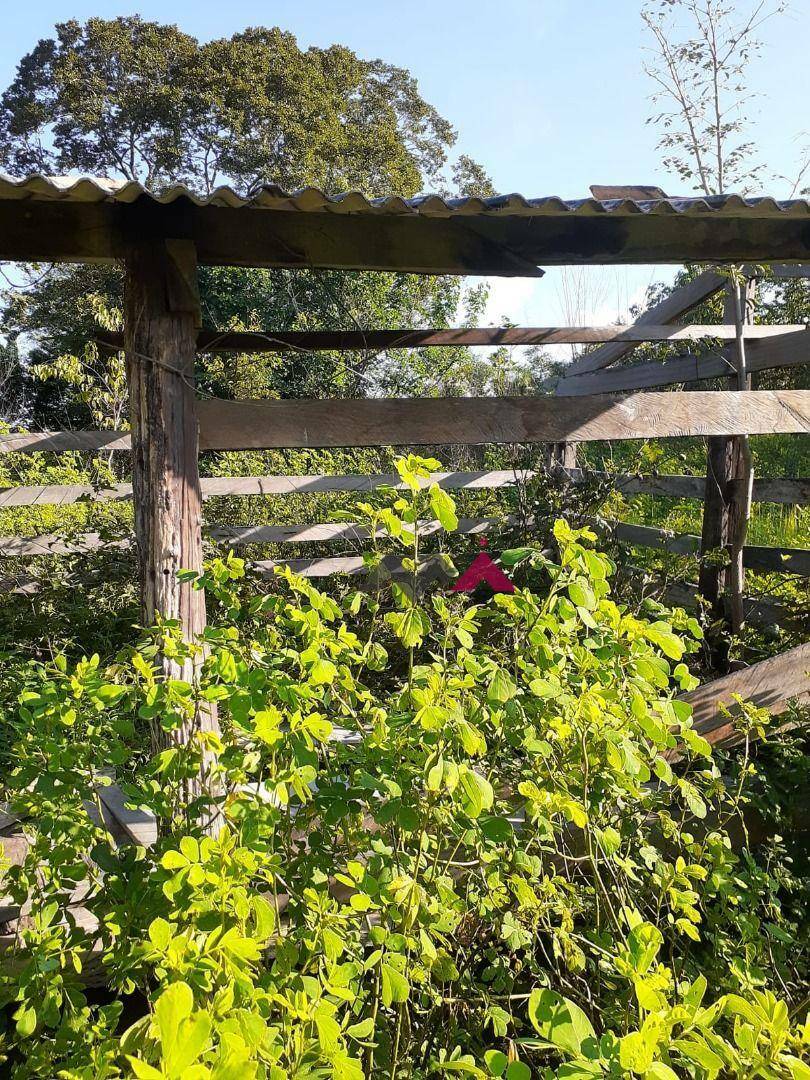 Fazenda-Sítio-Chácara, 4346 hectares - Foto 1