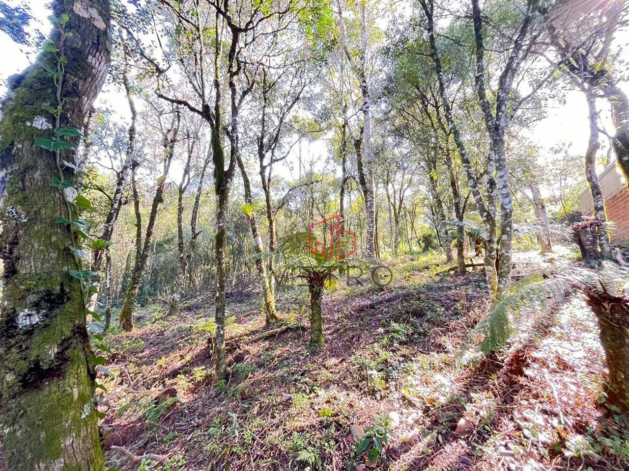 Terreno, 613 m² - Foto 3