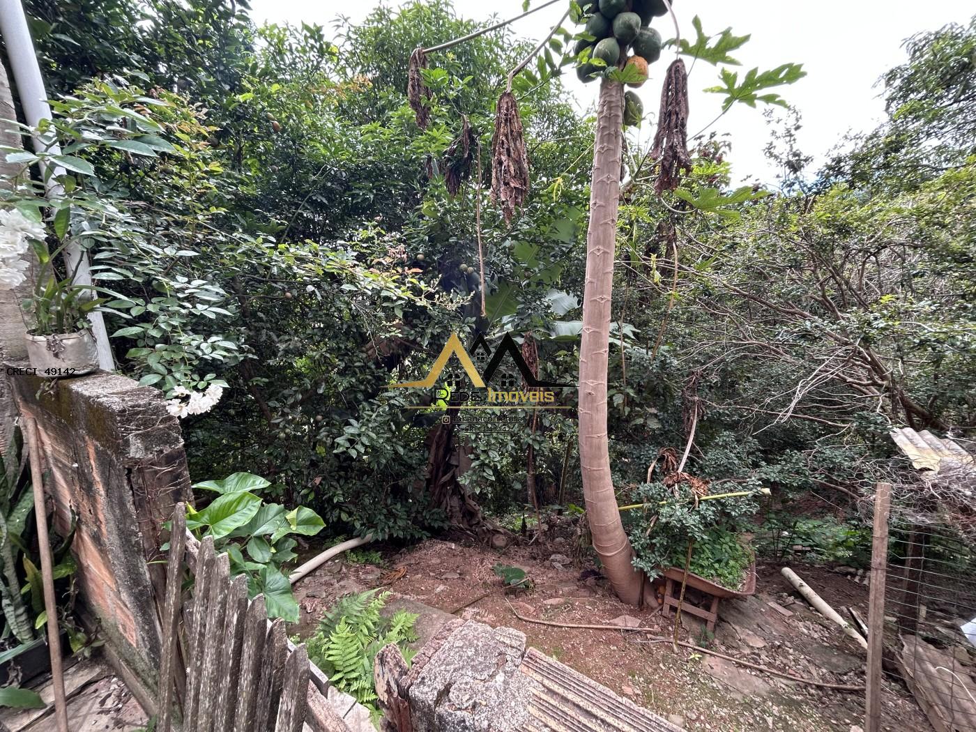 Casa à venda com 3 quartos, 447m² - Foto 18