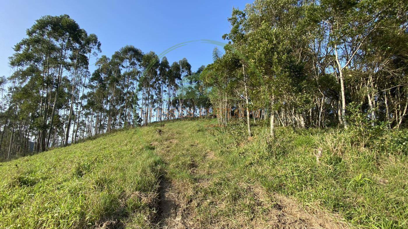 Sítio, 60 m² - Foto 9