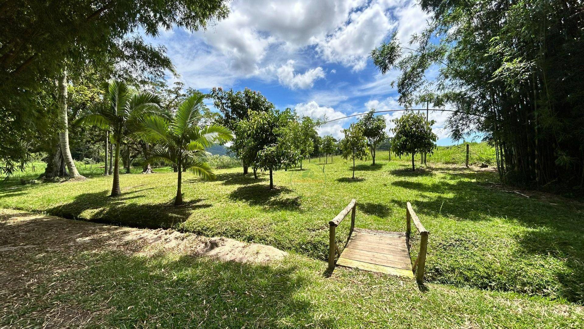 Chácara, 2 hectares - Foto 22