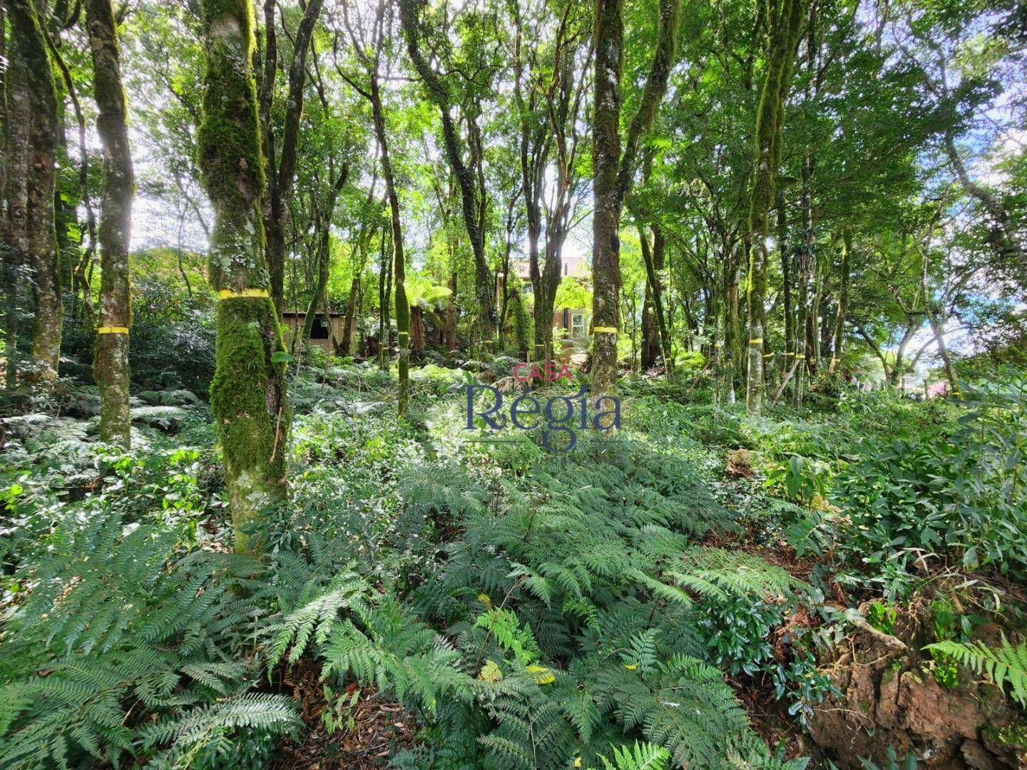 Terreno, 681 m² - Foto 2