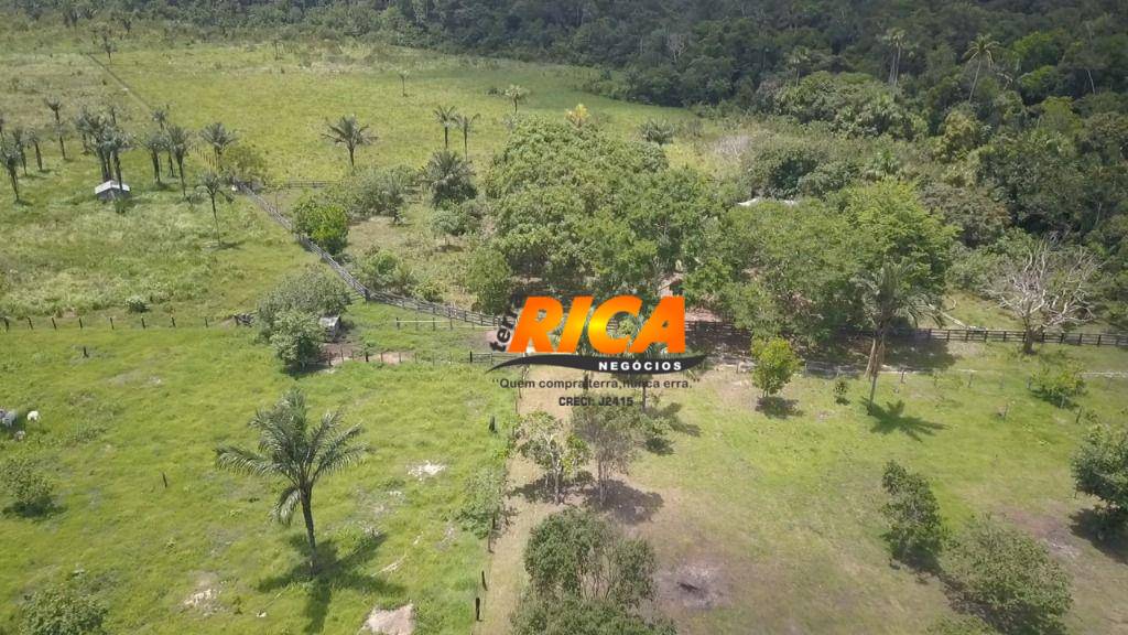 Fazenda, 300 hectares - Foto 3