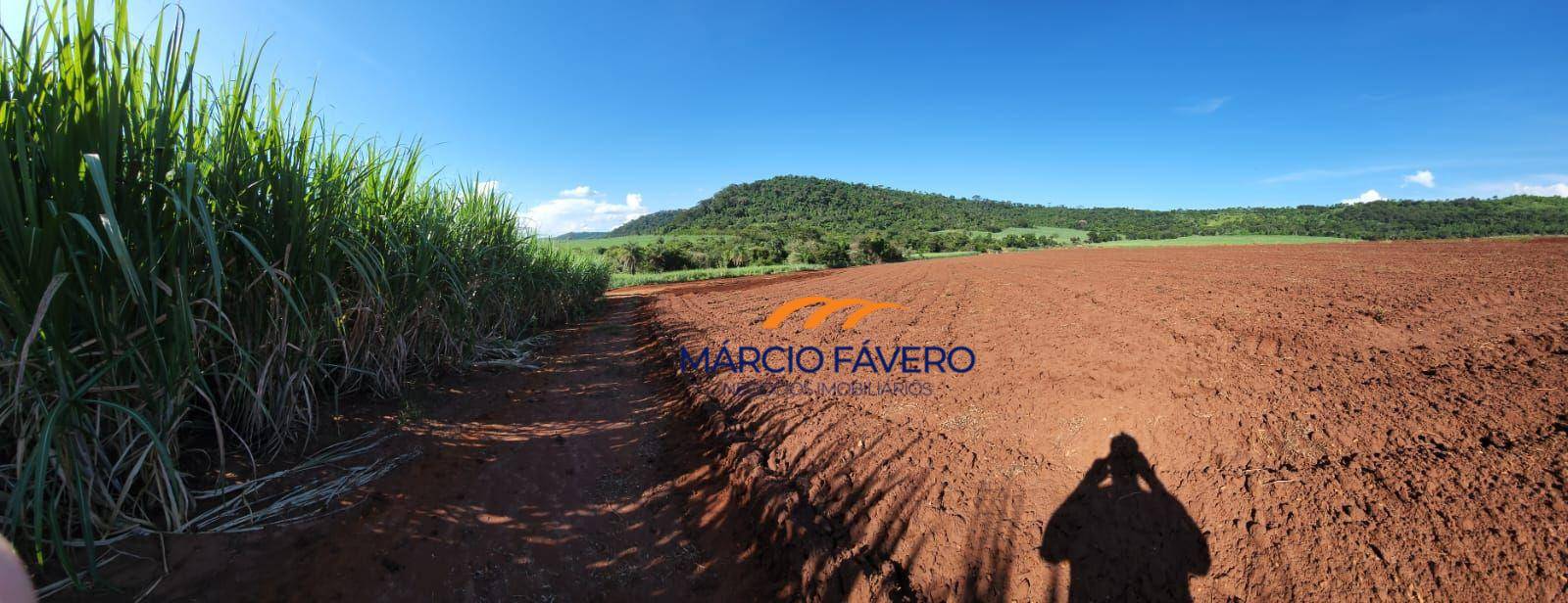 Fazenda, 140 hectares - Foto 1