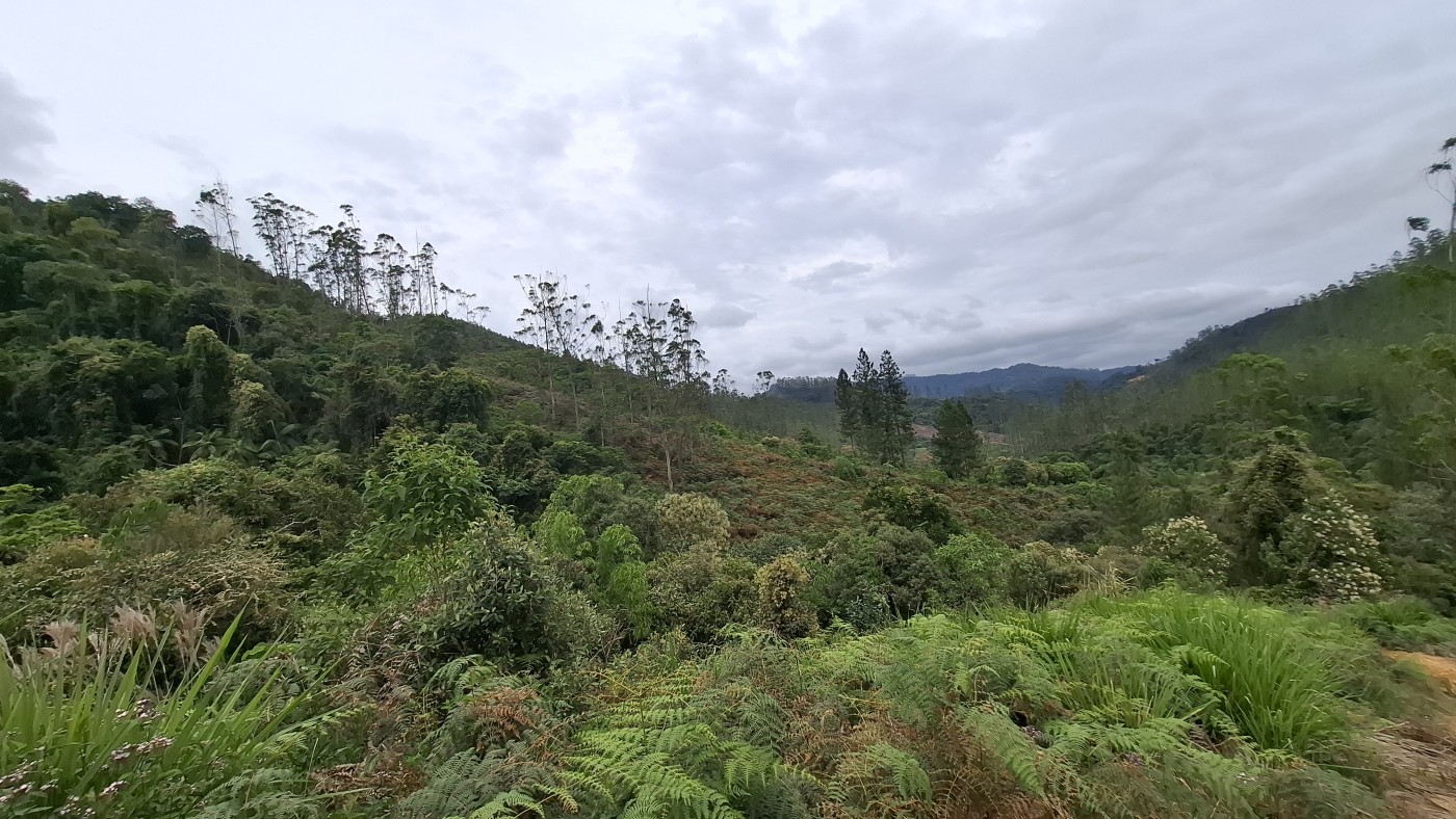 Sítio, 13 hectares - Foto 29