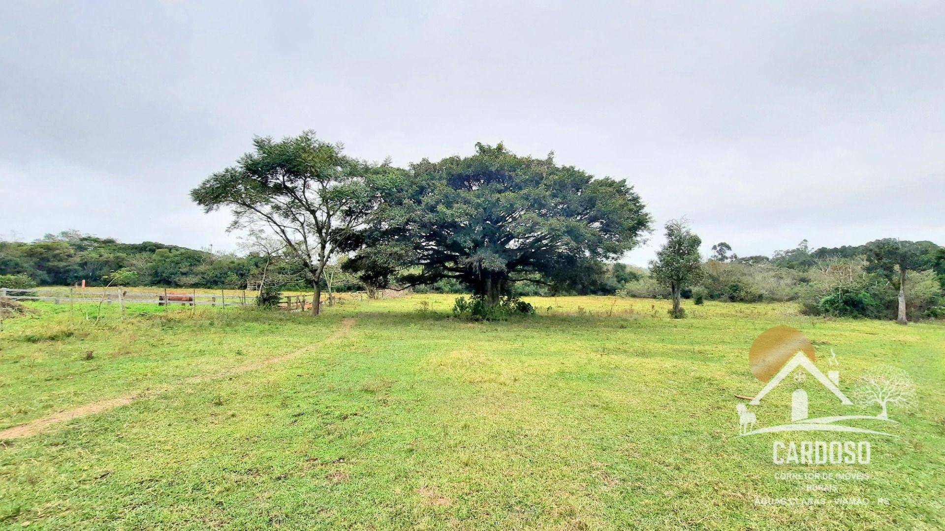 Haras e Área Rural Padrão à venda com 3 quartos, 270000M2 - Foto 3