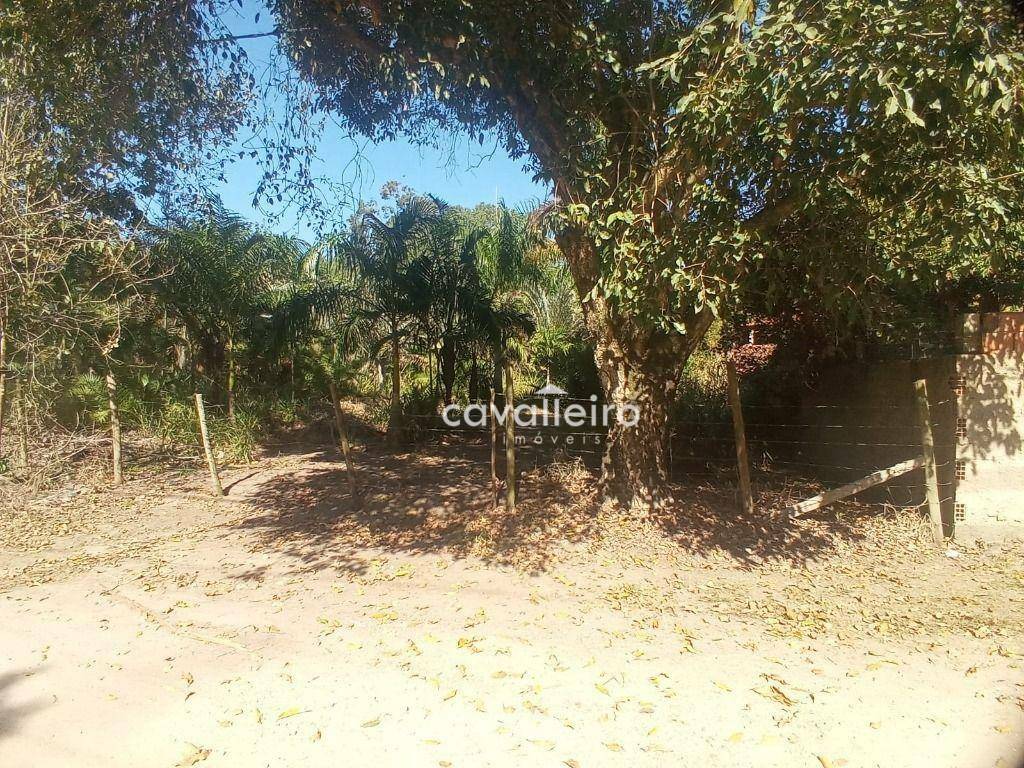 Terreno à venda, 2000M2 - Foto 2