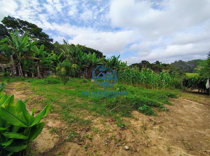 Fazenda à venda com 2 quartos, 4000m² - Foto 16