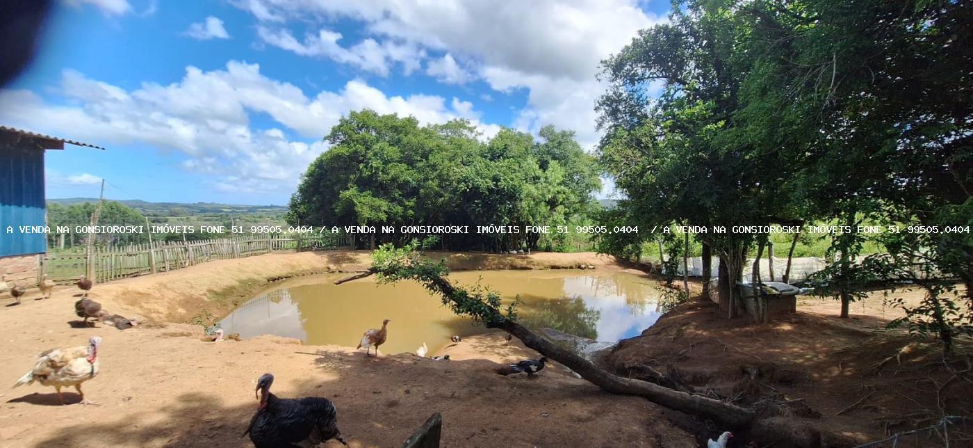 Chácara à venda com 2 quartos, 10000m² - Foto 15