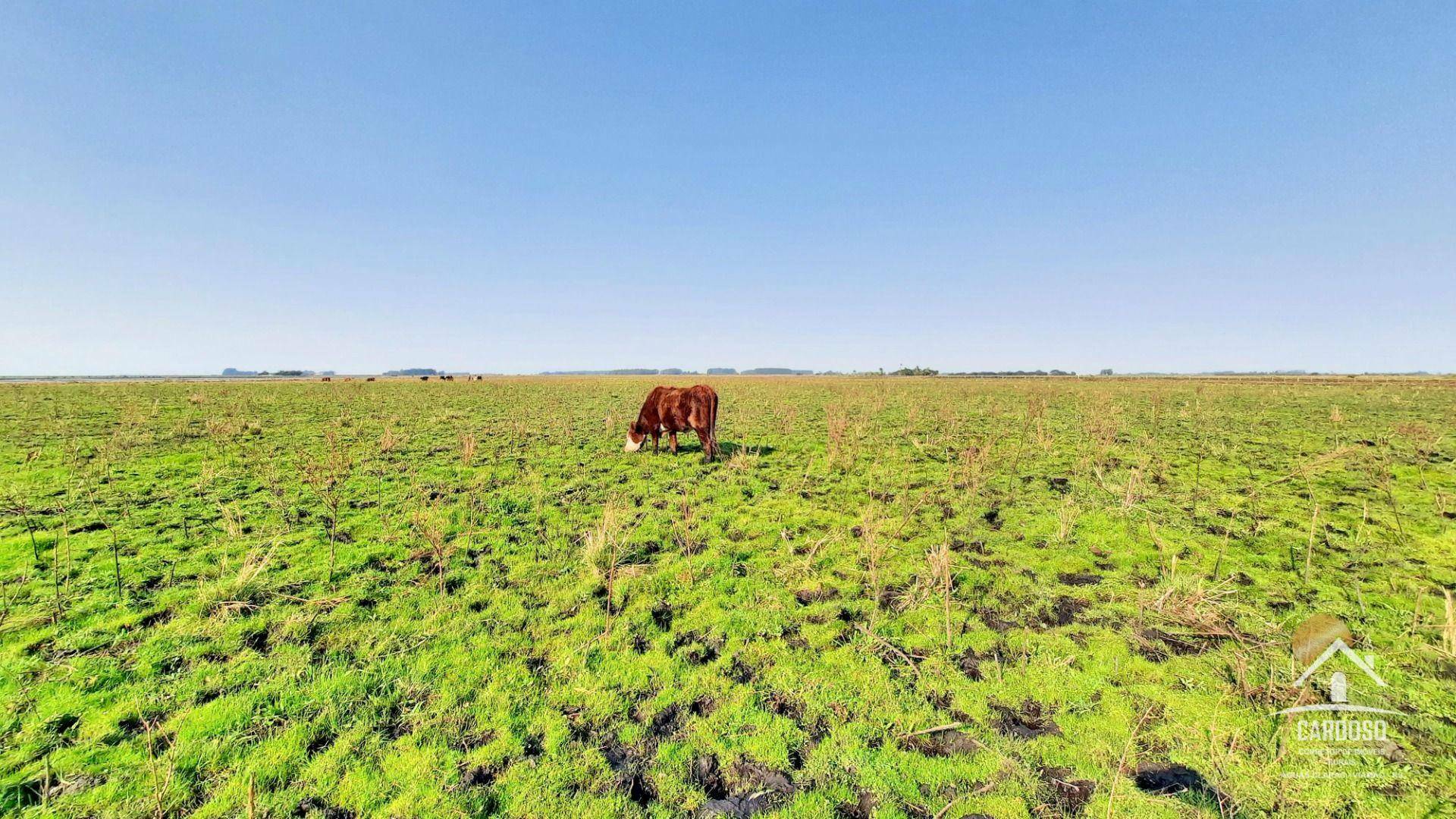 Terreno à venda, 700000M2 - Foto 3