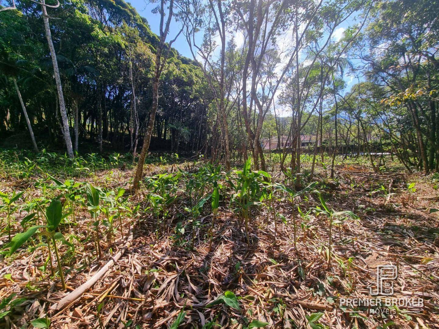 Loteamento e Condomínio à venda, 4430M2 - Foto 2