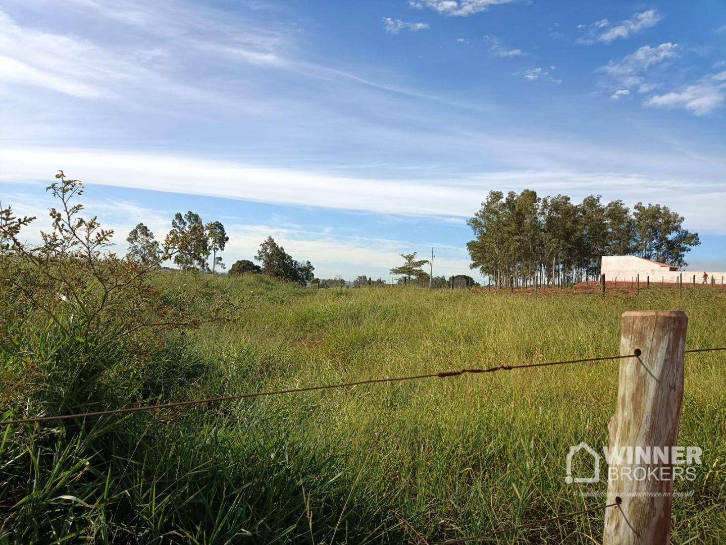 Chácara, 1 quarto, 3000 m² - Foto 2