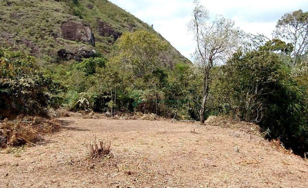 Terreno à venda, 8450M2 - Foto 4