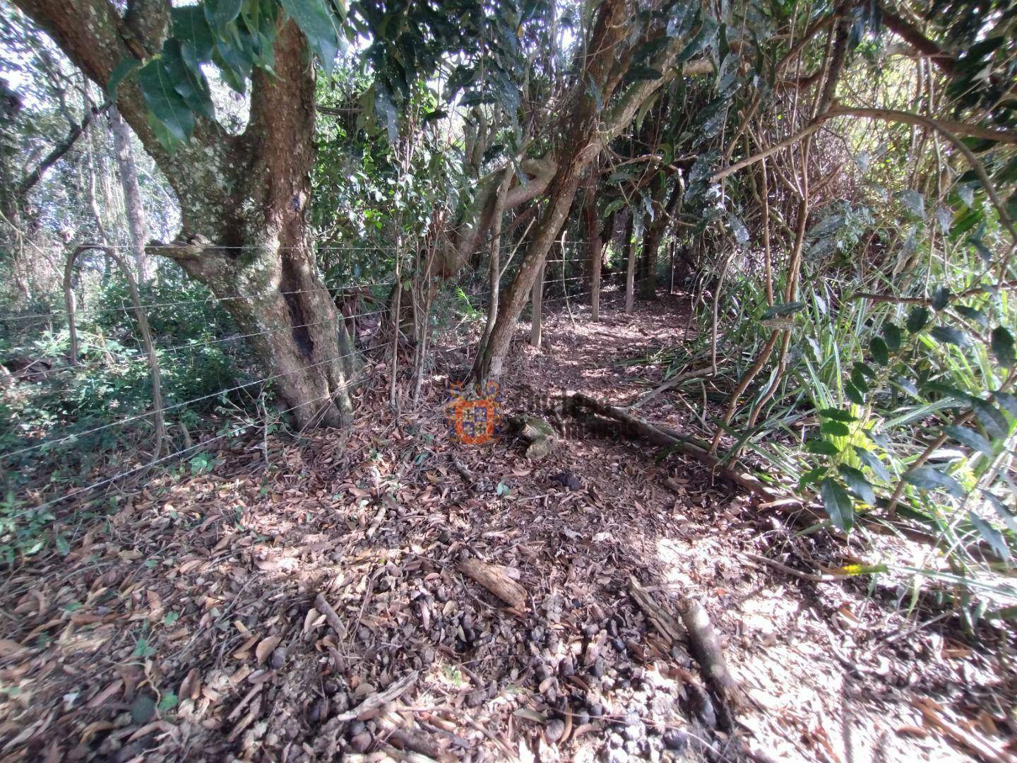 Terreno à venda, 1000M2 - Foto 10