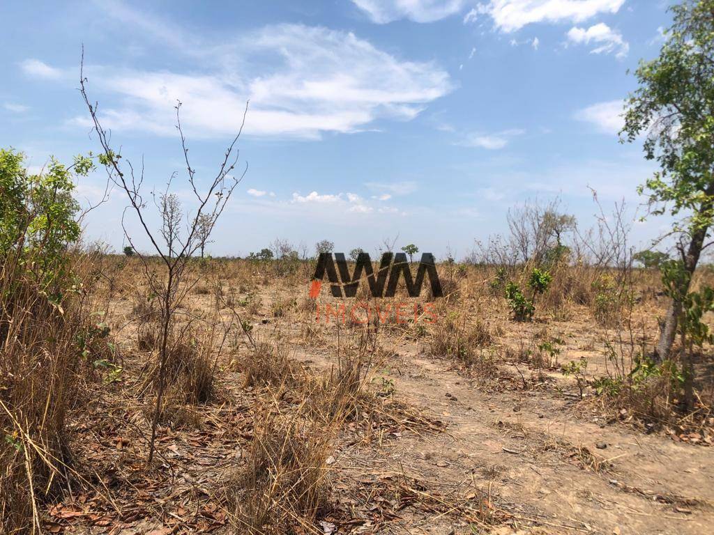 Fazenda-Sítio-Chácara, 1462 hectares - Foto 4