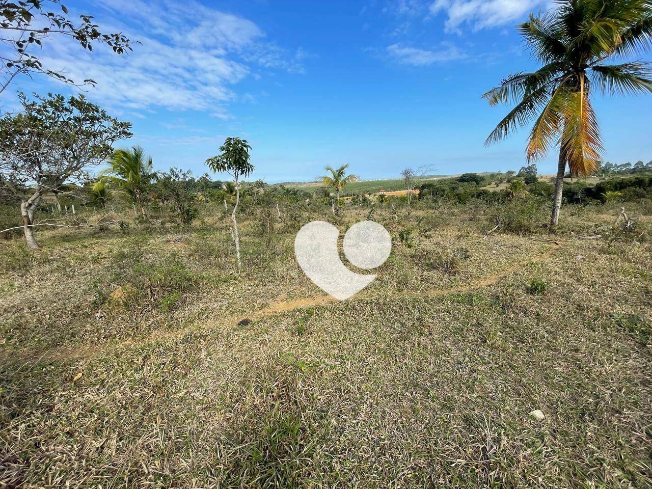 Sítio à venda, 117000m² - Foto 19