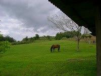 Fazenda à venda com 2 quartos - Foto 2