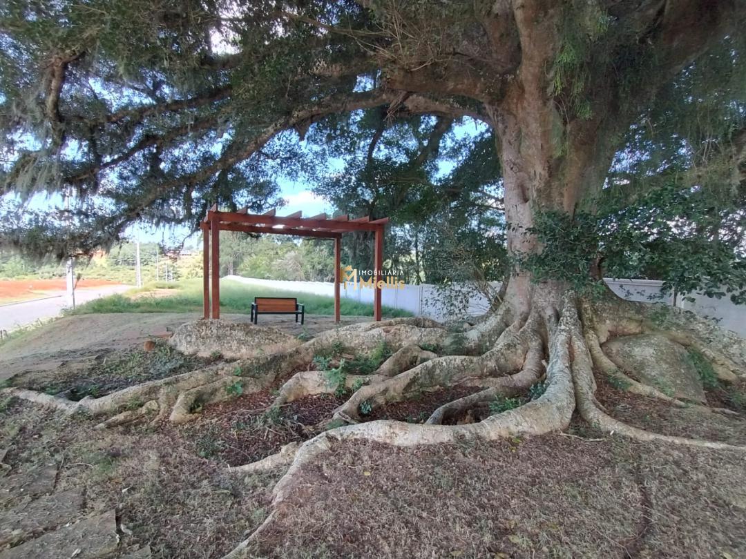 Terreno à venda, 180m² - Foto 1