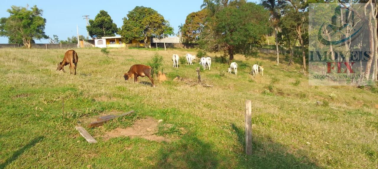 Fazenda à venda com 10 quartos, 1208m² - Foto 10