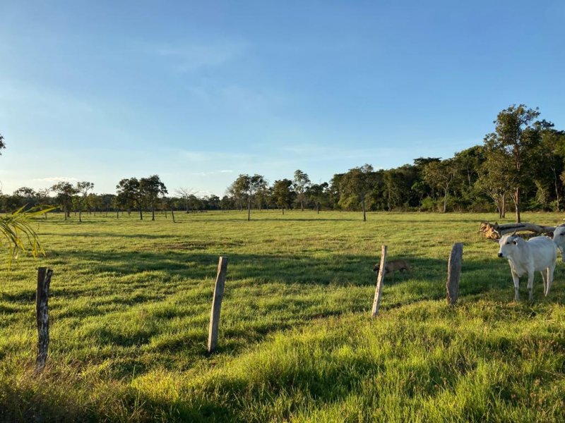 Fazenda à venda, 692m² - Foto 7