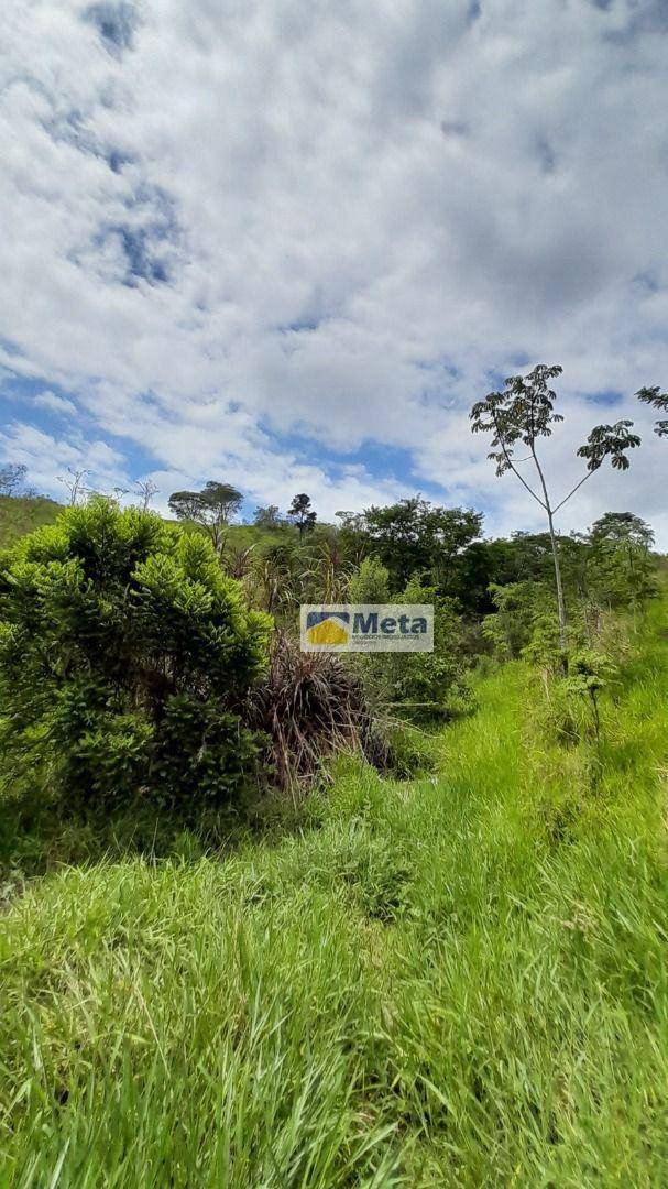 Sítio, 8 hectares - Foto 2