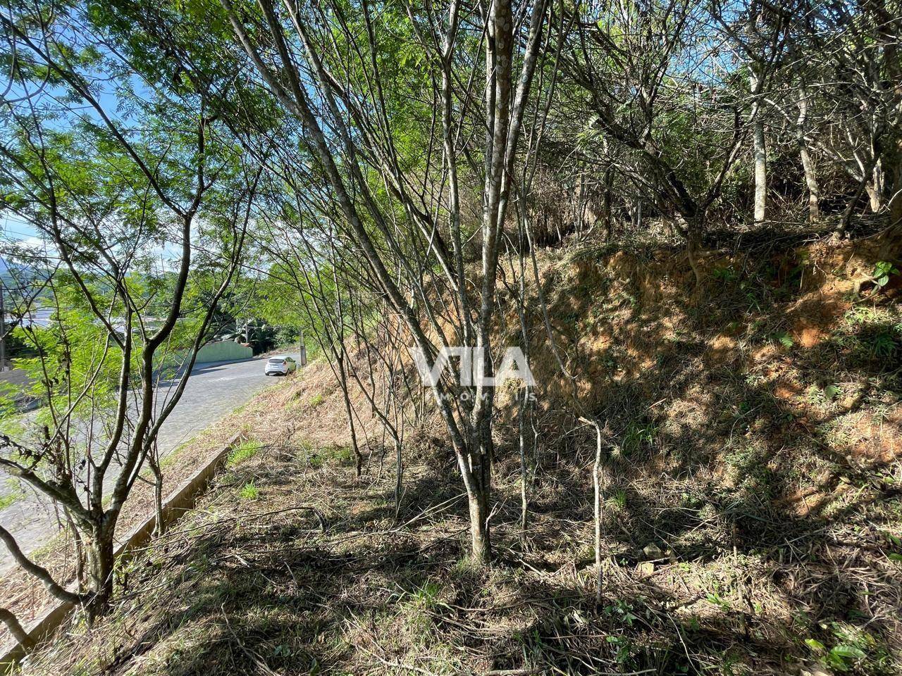 Terreno, 1691 m² - Foto 3