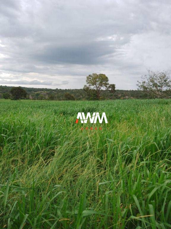 Fazenda, 179 hectares - Foto 3