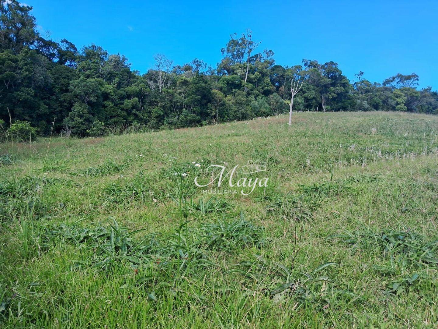 Terreno à venda, 2000M2 - Foto 1