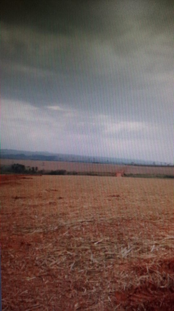 Fazenda-Sítio-Chácara, 697 hectares - Foto 3