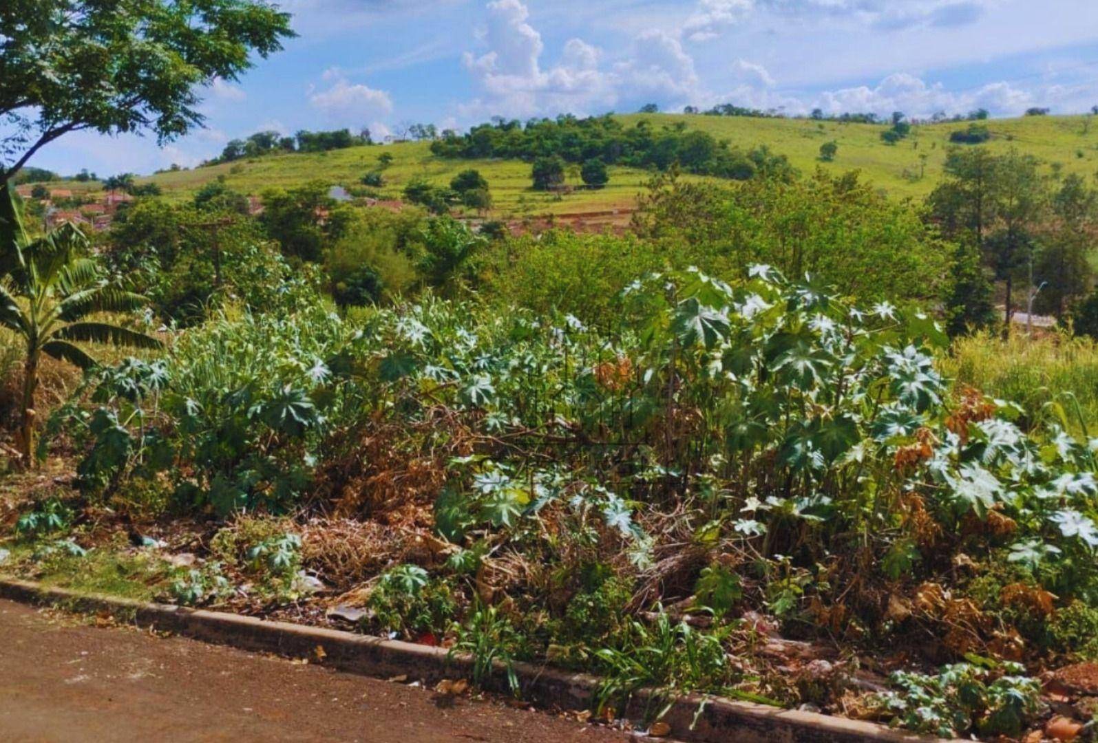 Terreno, 250 m² - Foto 1