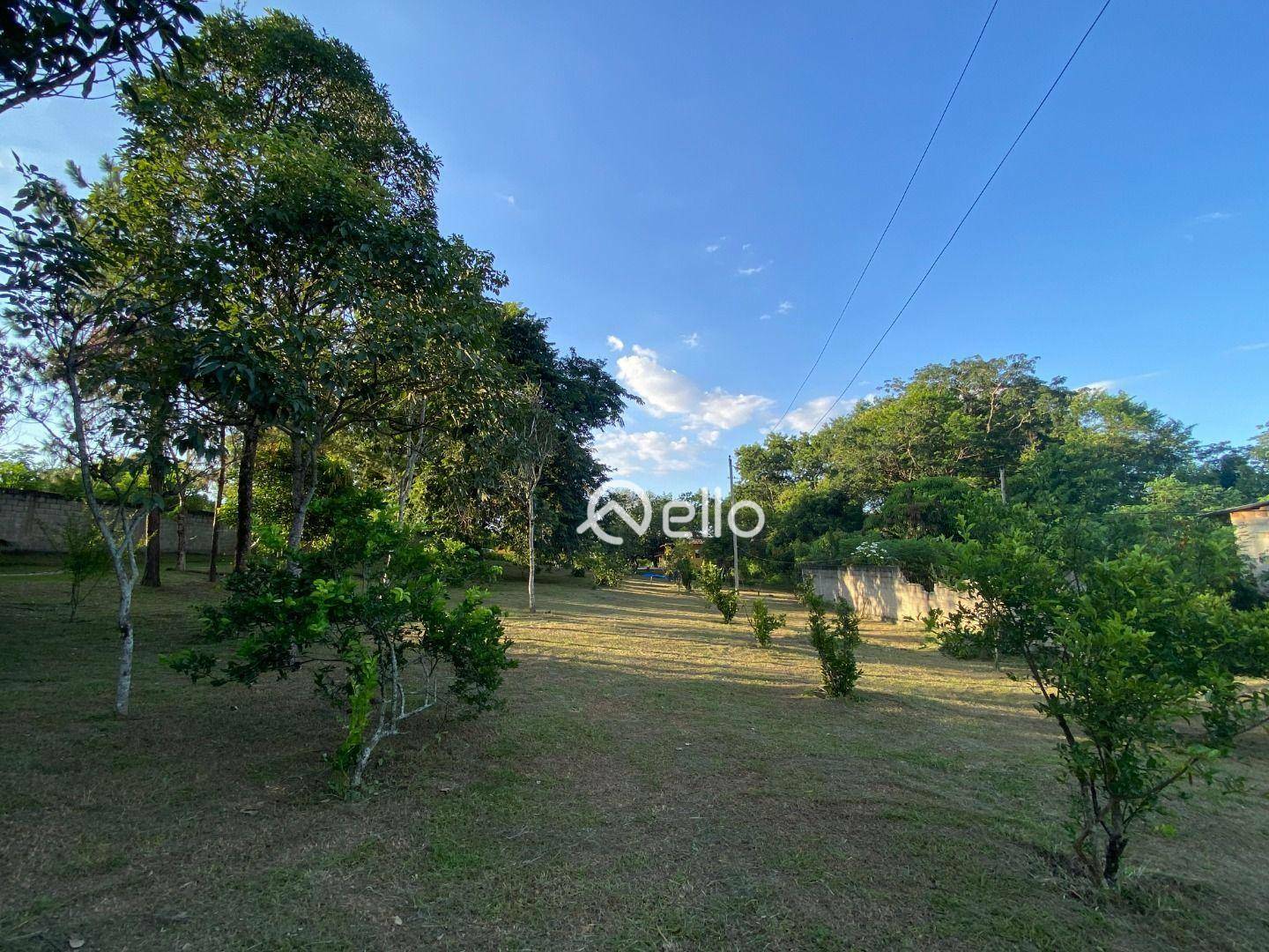 Sítio à venda com 6 quartos, 22700M2 - Foto 8