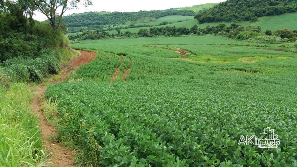 Fazenda à venda com 1 quarto, 2819300M2 - Foto 18