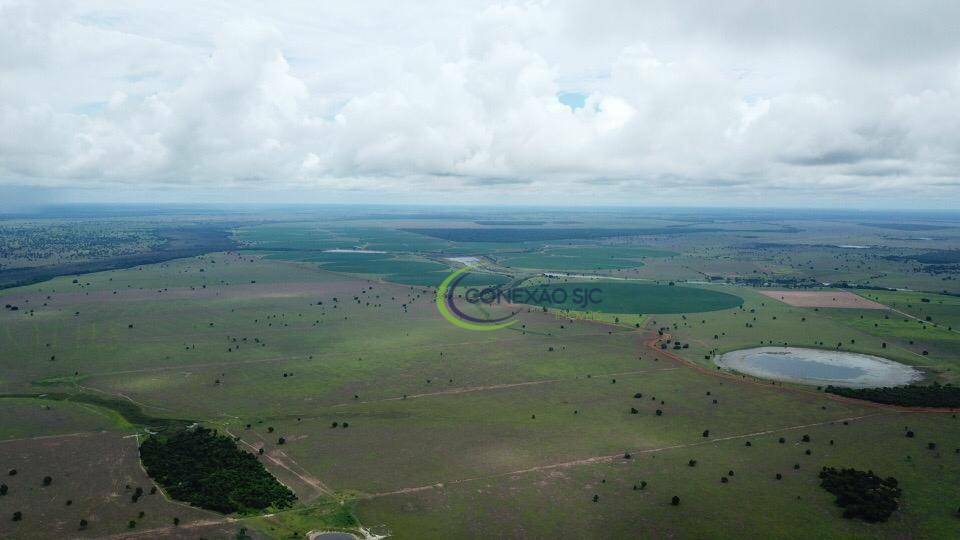 Fazenda à venda com 4 quartos, 56140000M2 - Foto 13