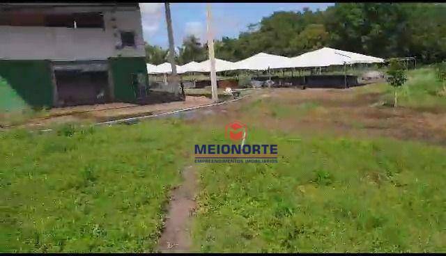 Fazenda à venda com 2 quartos, 300000M2 - Foto 10