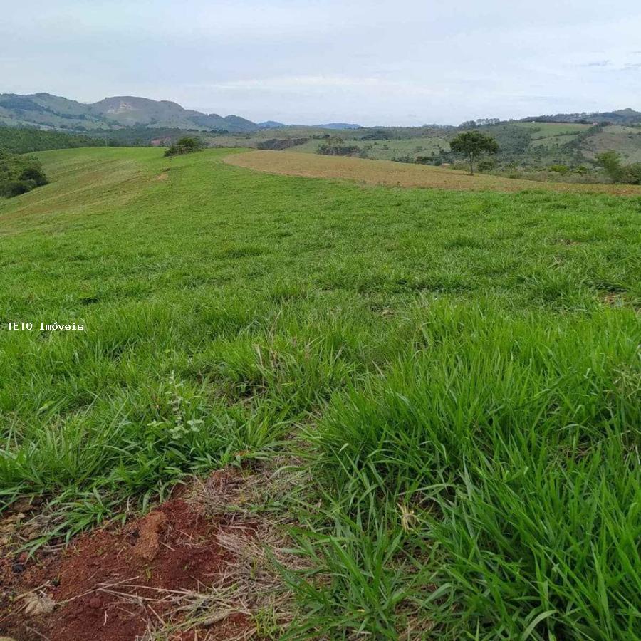 Fazenda à venda com 1 quarto, 40m² - Foto 10