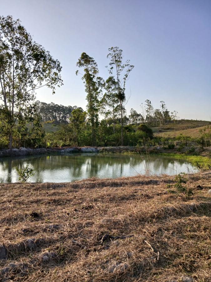 Fazenda à venda com 2 quartos, 146000m² - Foto 4