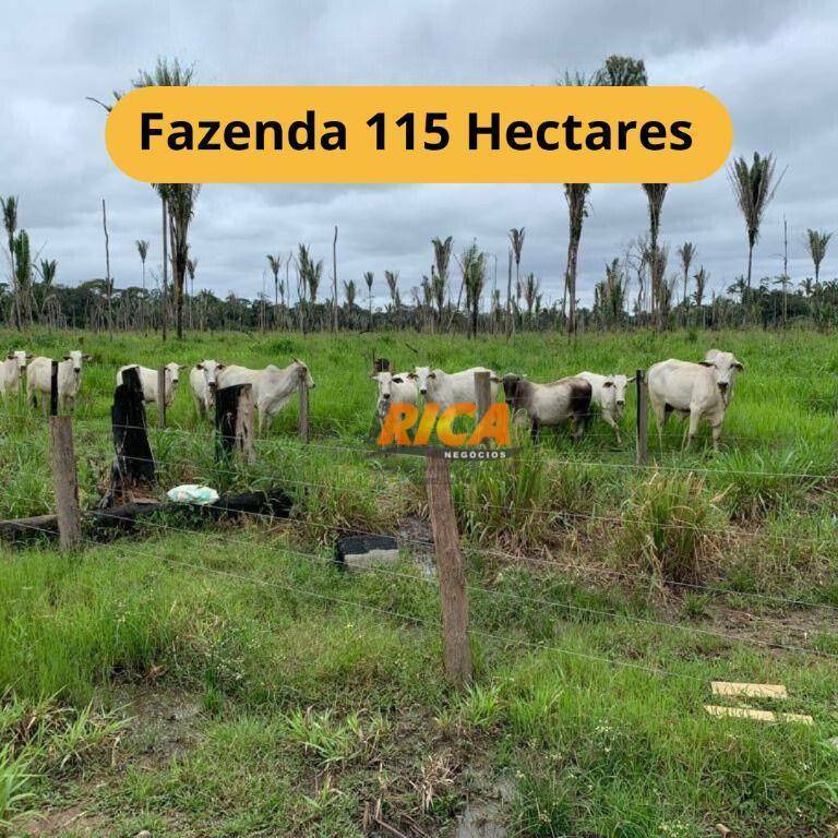 Fazenda-Sítio-Chácara, 115 hectares - Foto 1