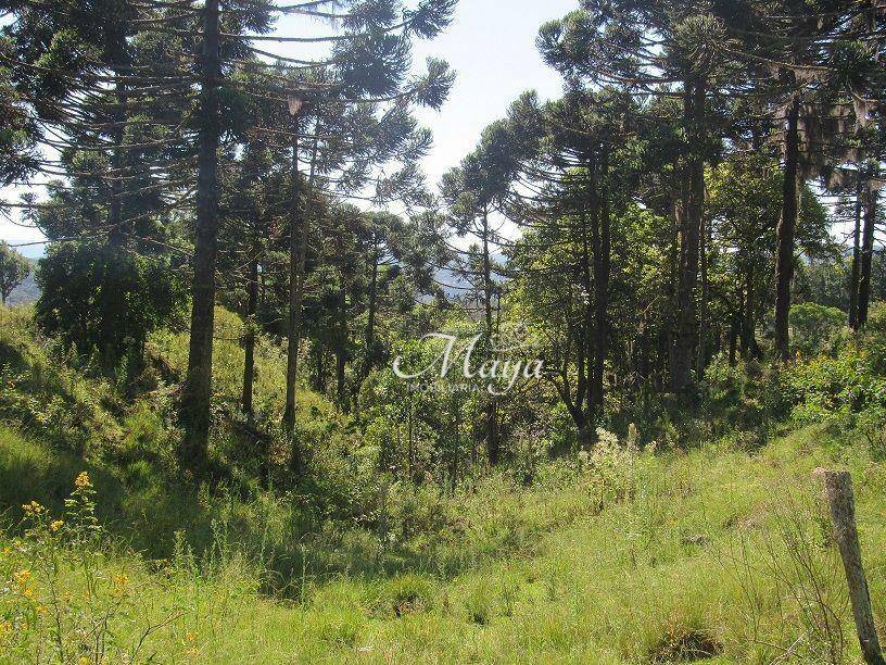 Terreno à venda, 120000M2 - Foto 5