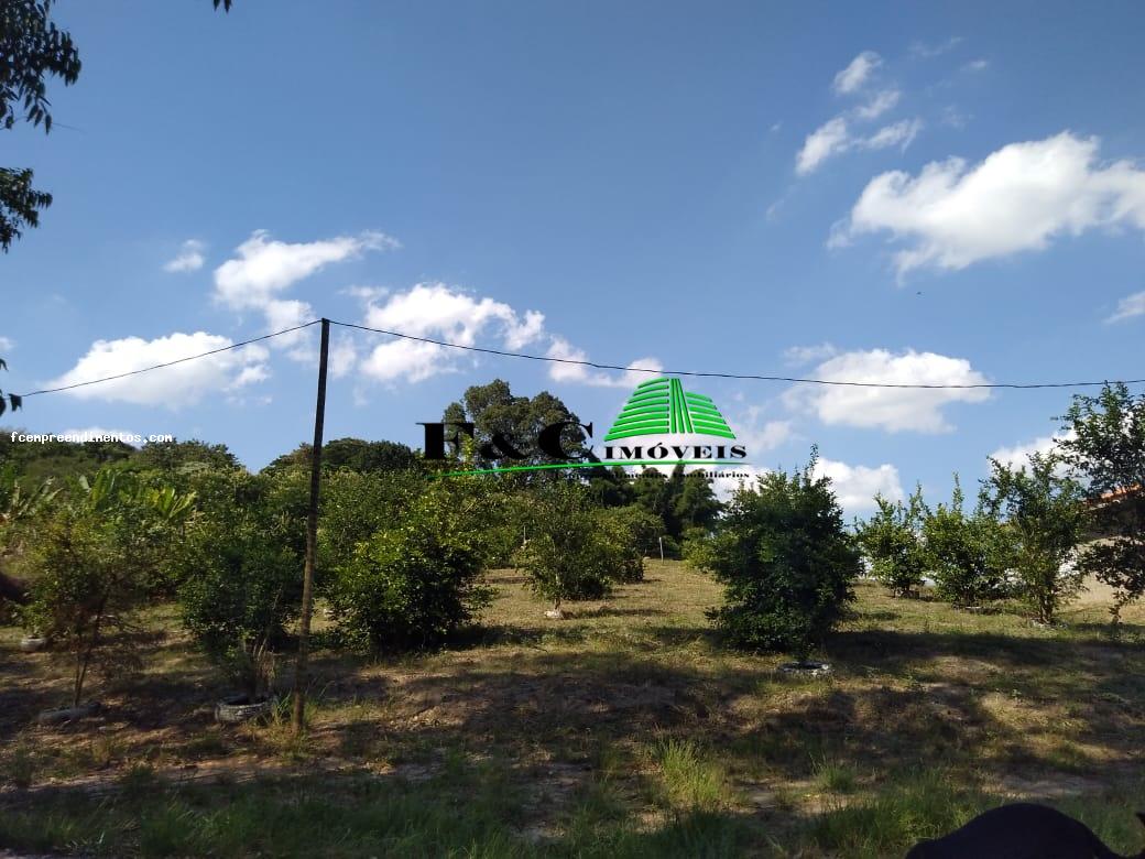 Fazenda à venda com 2 quartos, 40000m² - Foto 12