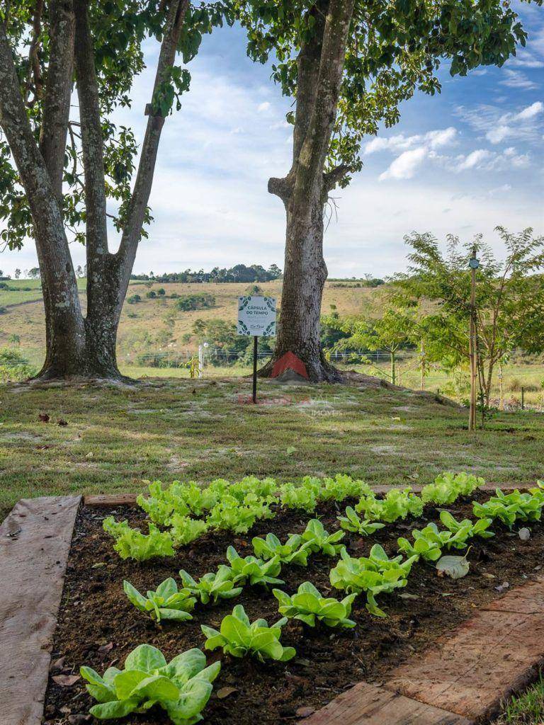 Terreno, 610 m² - Foto 2