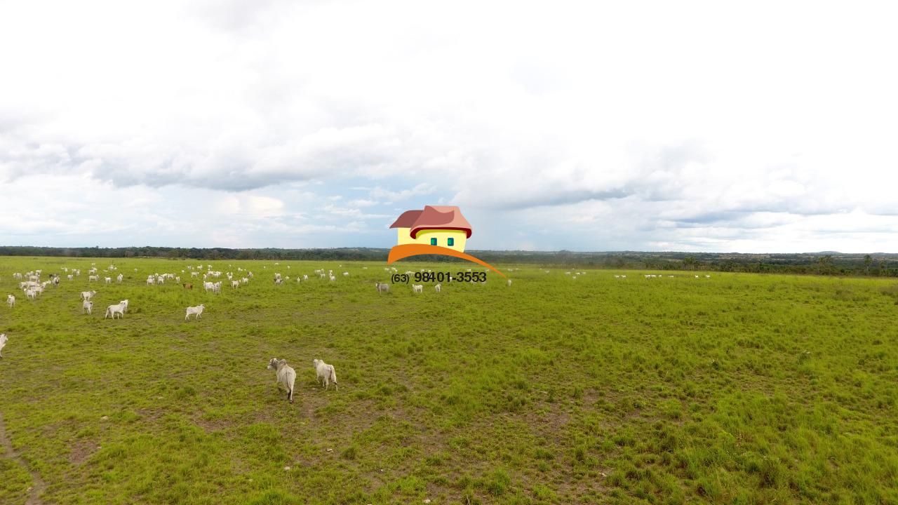 Fazenda à venda, 4060m² - Foto 22