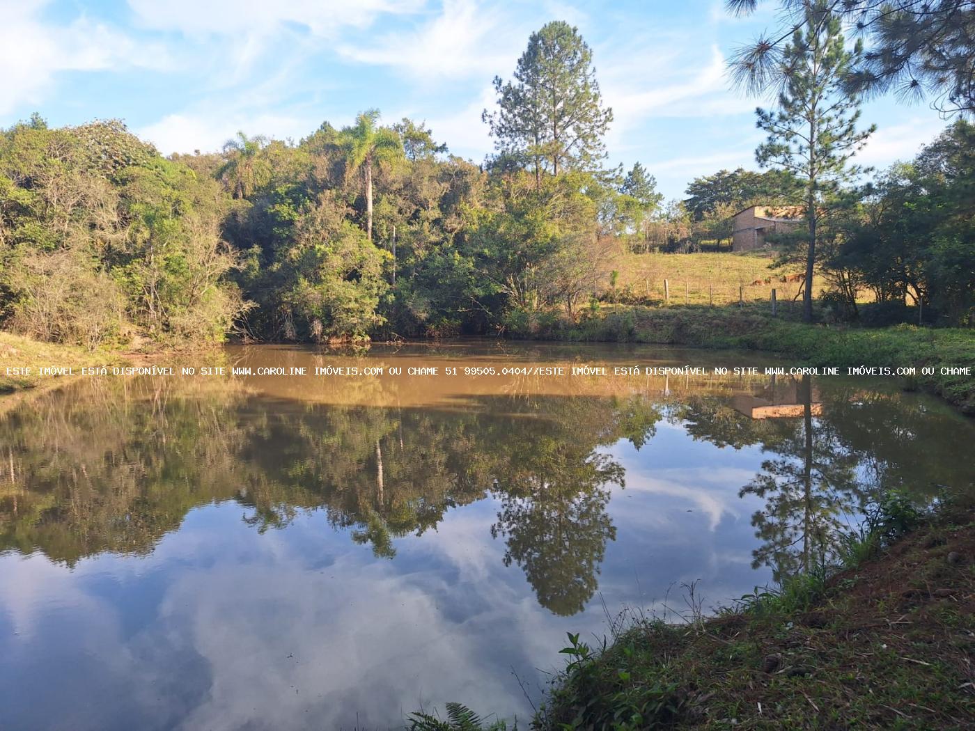 Fazenda à venda, 80000m² - Foto 32