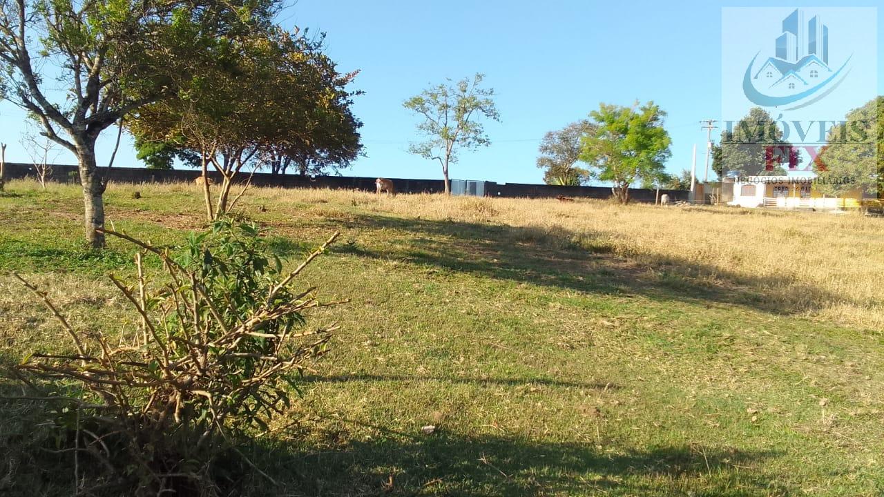 Fazenda à venda com 7 quartos, 600m² - Foto 21